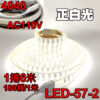 【快速出貨】 LED燈條 110V 5/6/10米 180顆 4040 防水 暖光白光 露營燈 LED-57 小齊的家